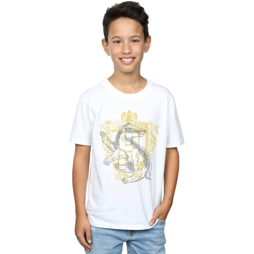 textil Niño Camisetas manga corta Harry Potter Hufflepuff Badger Crest Blanco