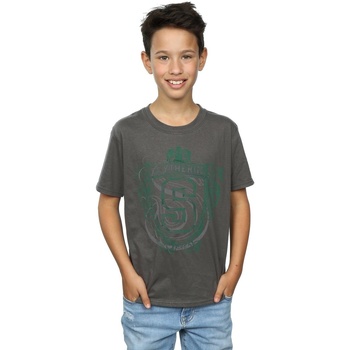 textil Niño Tops y Camisetas Harry Potter Slytherin Serpent Crest Multicolor