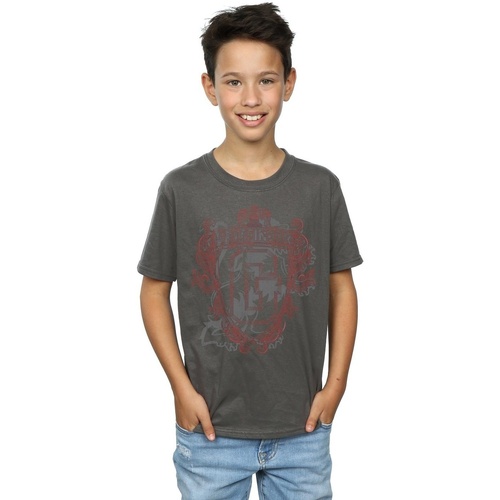 textil Niño Camisetas manga corta Harry Potter Gryffindor Lion Crest Multicolor