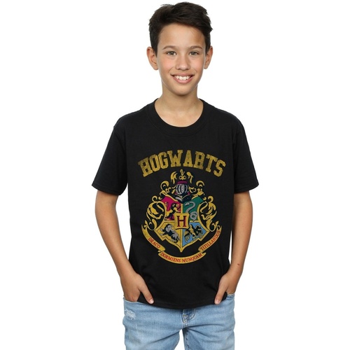 textil Niño Camisetas manga corta Harry Potter Filled Crest Varsity Negro