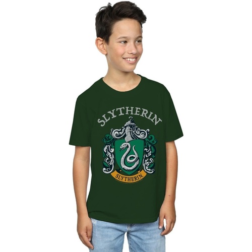 textil Niño Camisetas manga corta Harry Potter Slytherin Crest Verde