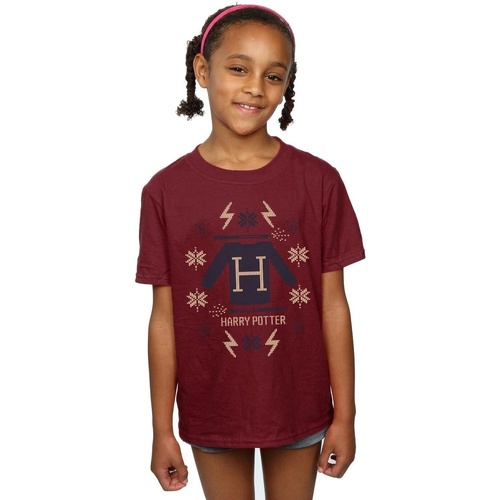 textil Niña Camisetas manga larga Harry Potter Christmas Knit Multicolor
