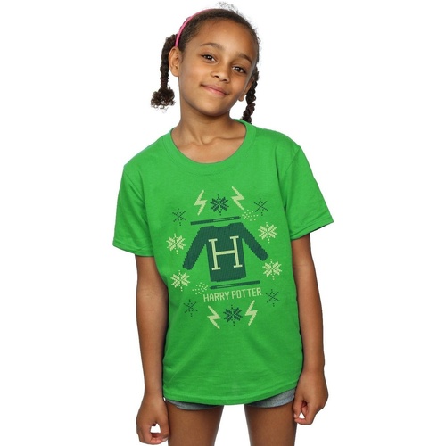 textil Niña Camisetas manga larga Harry Potter Christmas Knit Verde