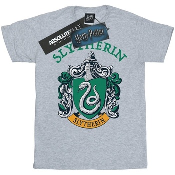 textil Niña Camisetas manga larga Harry Potter Slytherin Crest Gris