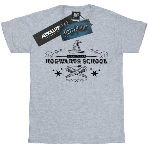 textil Niña Camisetas manga larga Harry Potter Hogwarts First Year Gris