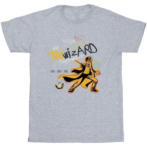 textil Niño Camisetas manga corta Harry Potter Triwizard Poster Gris