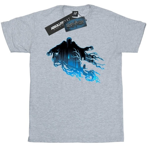 textil Niña Camisetas manga larga Harry Potter Dementor Silhouette Gris