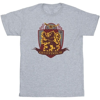 textil Niño Camisetas manga corta Harry Potter Gryffindor Chest Badge Gris