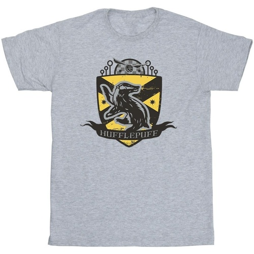 textil Niño Camisetas manga corta Harry Potter Hufflepuff Chest Badge Gris