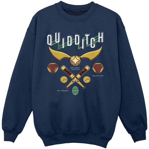 textil Niña Sudaderas Harry Potter Quidditch Bludgers Quaffles Azul