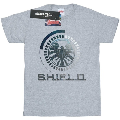 textil Niña Camisetas manga larga Marvel Avengers SHIELD Logo Gris
