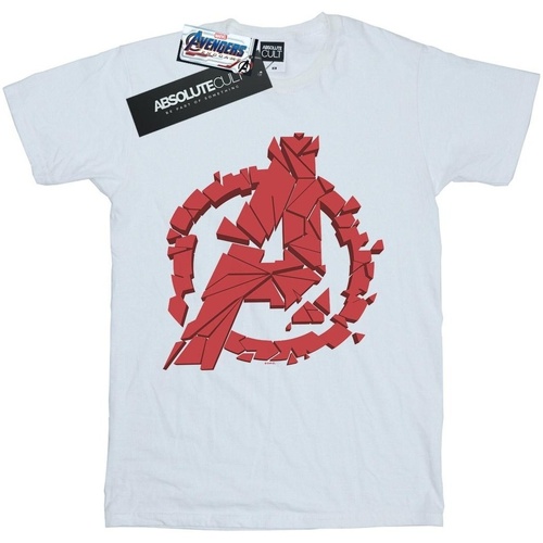 textil Niña Camisetas manga larga Marvel Avengers Endgame Shattered Logo Blanco