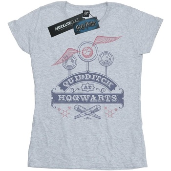 textil Mujer Camisetas manga larga Harry Potter Quidditch At Hogwarts Gris