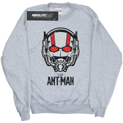 textil Niña Sudaderas Marvel Ant-Man Helmet Gris