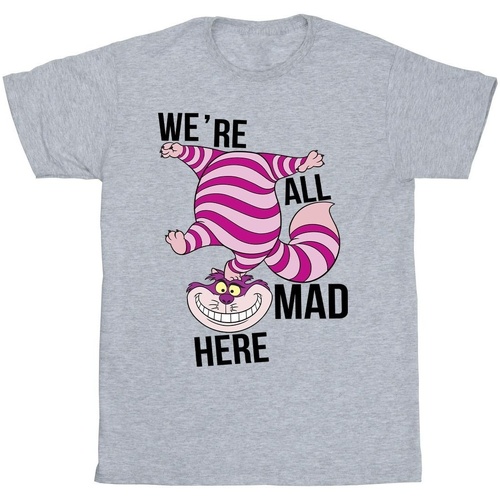 textil Niño Camisetas manga corta Disney Alice In Wonderland All Mad Here Gris