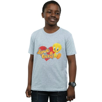 textil Niño Camisetas manga corta Dessins Animés Tweety Pie Valentine's Day Love Bird Gris