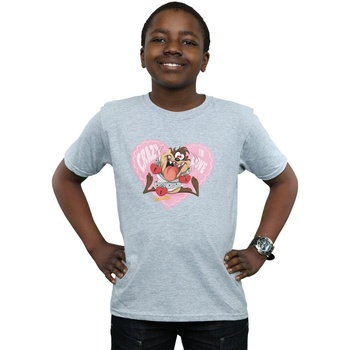 textil Niño Tops y Camisetas Dessins Animés Taz Valentine's Day Crazy In Love Gris
