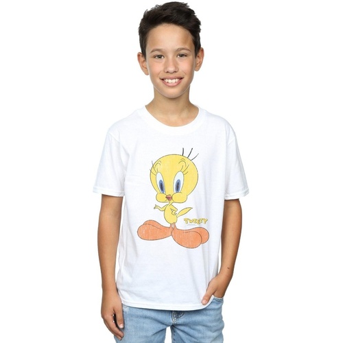textil Niño Camisetas manga corta Dessins Animés Tweety Pie Distressed Blanco