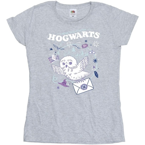 textil Mujer Camisetas manga larga Harry Potter Owl Letter From Hogwarts Gris