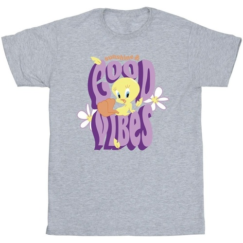 textil Niño Camisetas manga corta Dessins Animés Tweeday Sunshine & Good Vibes Gris