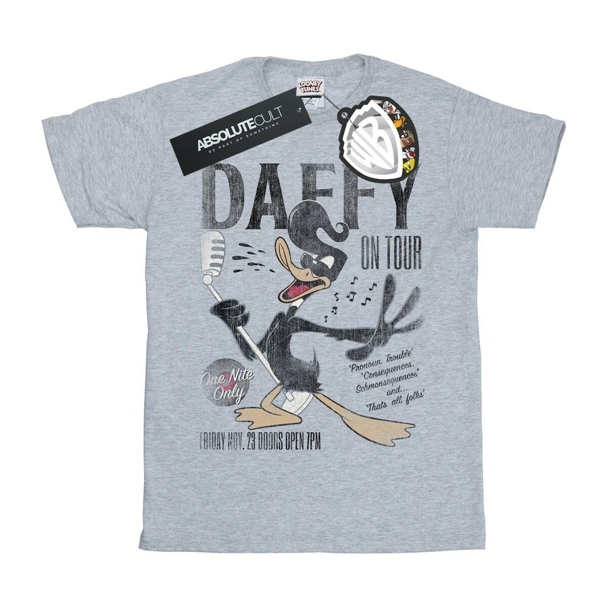 textil Niña Camisetas manga larga Dessins Animés Daffy Duck Concert Gris