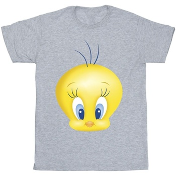 textil Niño Tops y Camisetas Dessins Animés Tweety Face Gris