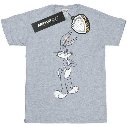 textil Niña Camisetas manga larga Dessins Animés Bugs Bunny Crossed Arms Gris
