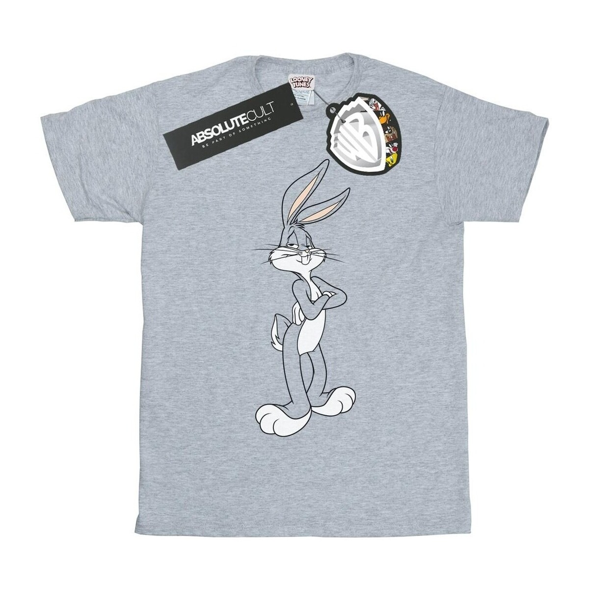 textil Niña Camisetas manga larga Dessins Animés Bugs Bunny Crossed Arms Gris