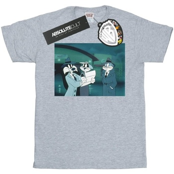 textil Niña Camisetas manga larga Dessins Animés Bugs Bunny Sylvester Letter Gris
