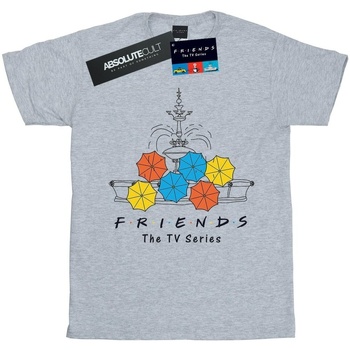 textil Niña Camisetas manga larga Friends Fountain And Umbrellas Gris