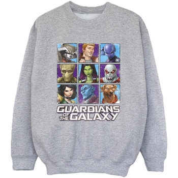 textil Niño Sudaderas Guardians Of The Galaxy Character Squares Gris