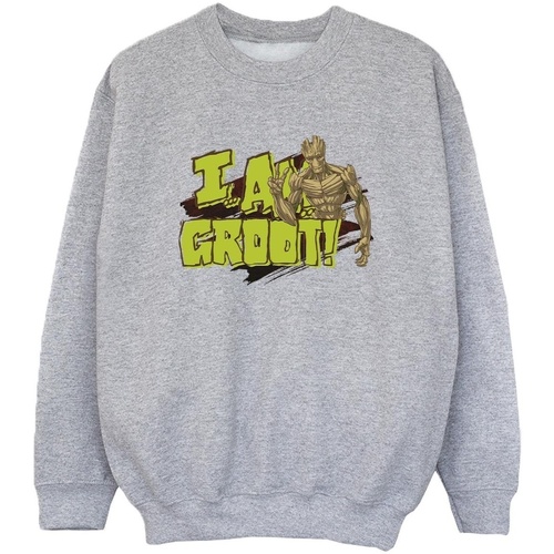 textil Niño Sudaderas Guardians Of The Galaxy I Am Groot Gris