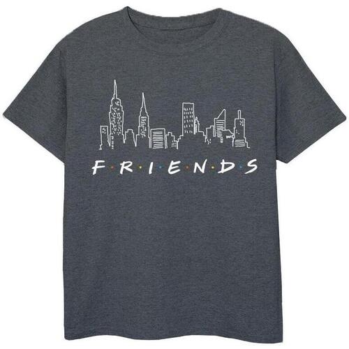 textil Niña Camisetas manga larga Friends Skyline Logo Gris