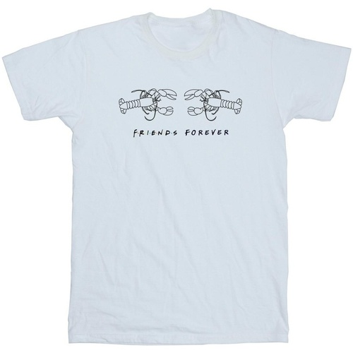 textil Niña Camisetas manga larga Friends Lobster Logo Blanco