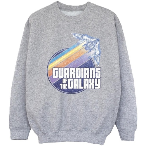 textil Niña Sudaderas Guardians Of The Galaxy Badge Rocket Gris