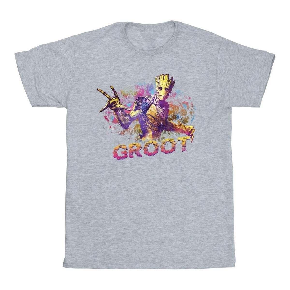 textil Niño Camisetas manga corta Marvel Guardians Of The Galaxy Abstract Groot Gris
