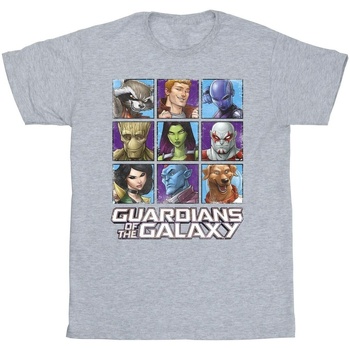 textil Niño Camisetas manga corta Guardians Of The Galaxy Character Squares Gris