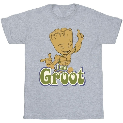 textil Niño Camisetas manga corta Guardians Of The Galaxy Groot Dancing Gris