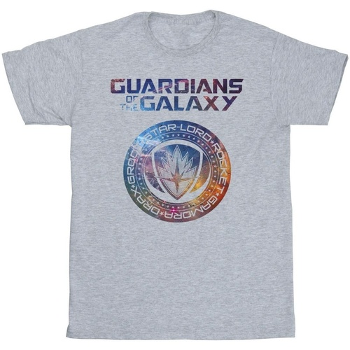 textil Niño Camisetas manga corta Marvel Guardians Of The Galaxy Stars Fill Logo Gris