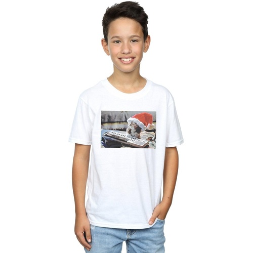 textil Niño Tops y Camisetas Gremlins Mogwai Christmas Hat Blanco