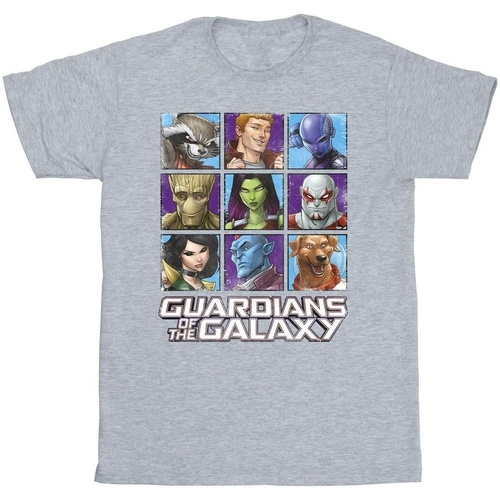 textil Niña Camisetas manga larga Guardians Of The Galaxy Character Squares Gris