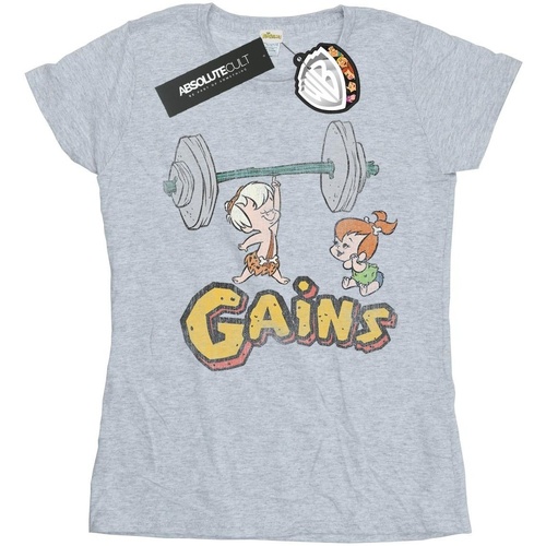 textil Mujer Camisetas manga larga The Flintstones Bam Bam Gains Distressed Gris