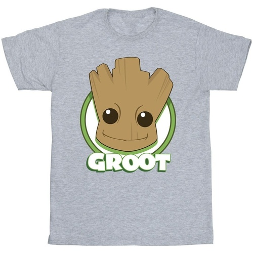 textil Niña Camisetas manga larga Guardians Of The Galaxy Groot Badge Gris