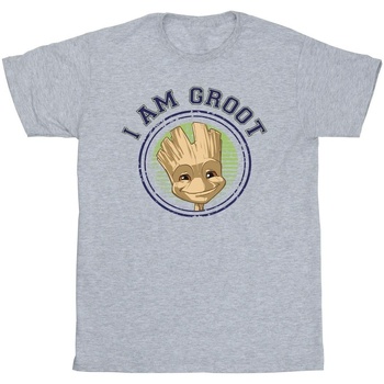textil Niña Camisetas manga larga Guardians Of The Galaxy Groot Varsity Gris