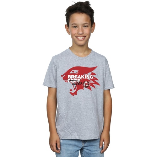 textil Niño Tops y Camisetas Disney High School Musical The Musical Breaking Rules Gris