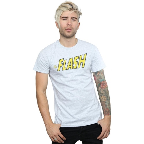 textil Hombre Camisetas manga larga Dc Comics Flash Crackle Logo Gris