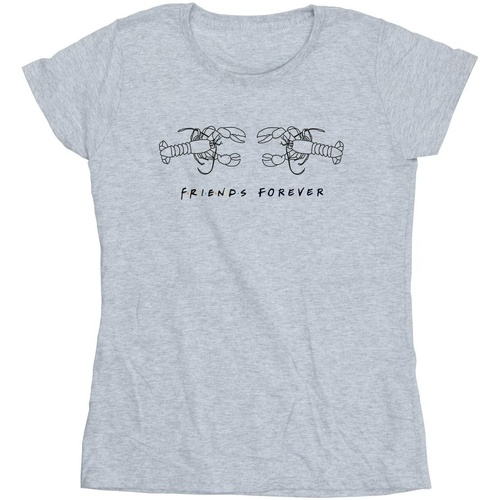 textil Mujer Camisetas manga larga Friends Lobster Logo Gris