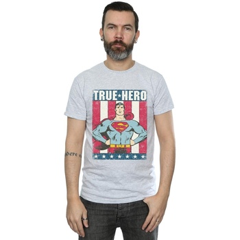 textil Hombre Camisetas manga larga Dc Comics Superman True Hero Gris