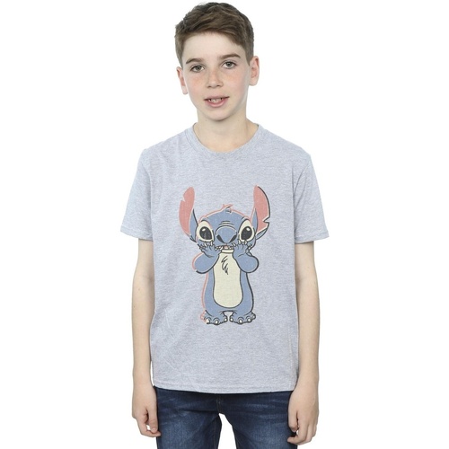 textil Niño Camisetas manga corta Disney Lilo And Stitch Big Print Gris