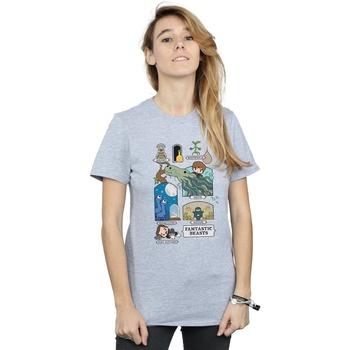 textil Mujer Camisetas manga larga Fantastic Beasts Chibi Newt Gris